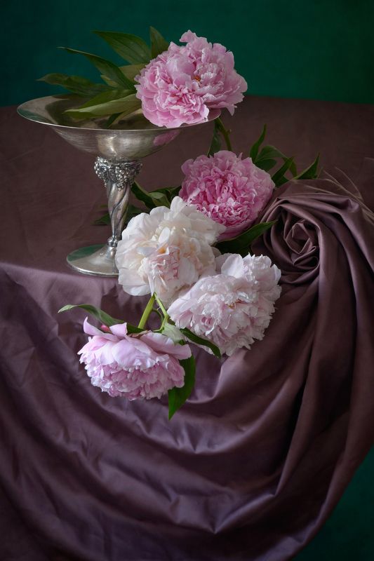 Классический, цветочный, натюрморт, пышный, букет, пион, оттенки, розовый, цвет, старинный, металлический, ваза, свернутый,  драпировка, естественный, освещение, начало лета Розовые пионы на драпировке фото превью