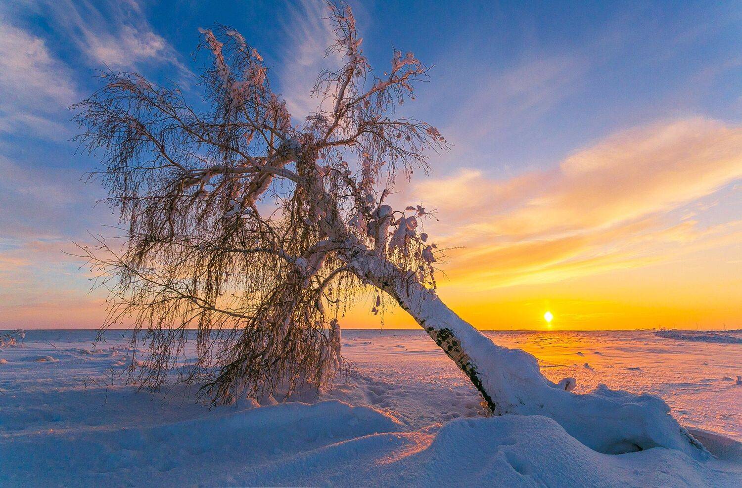 , Павел Сагайдак