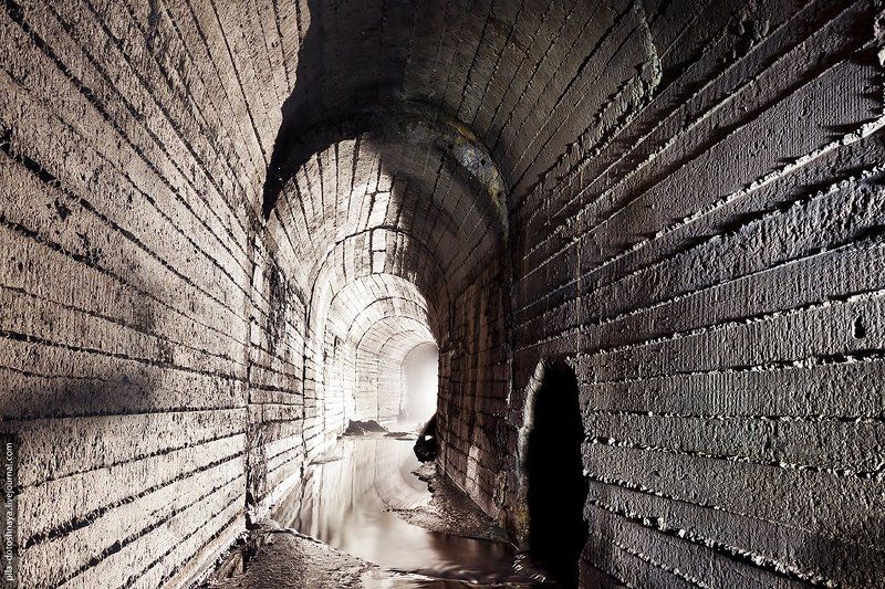 Неглинная фото превью