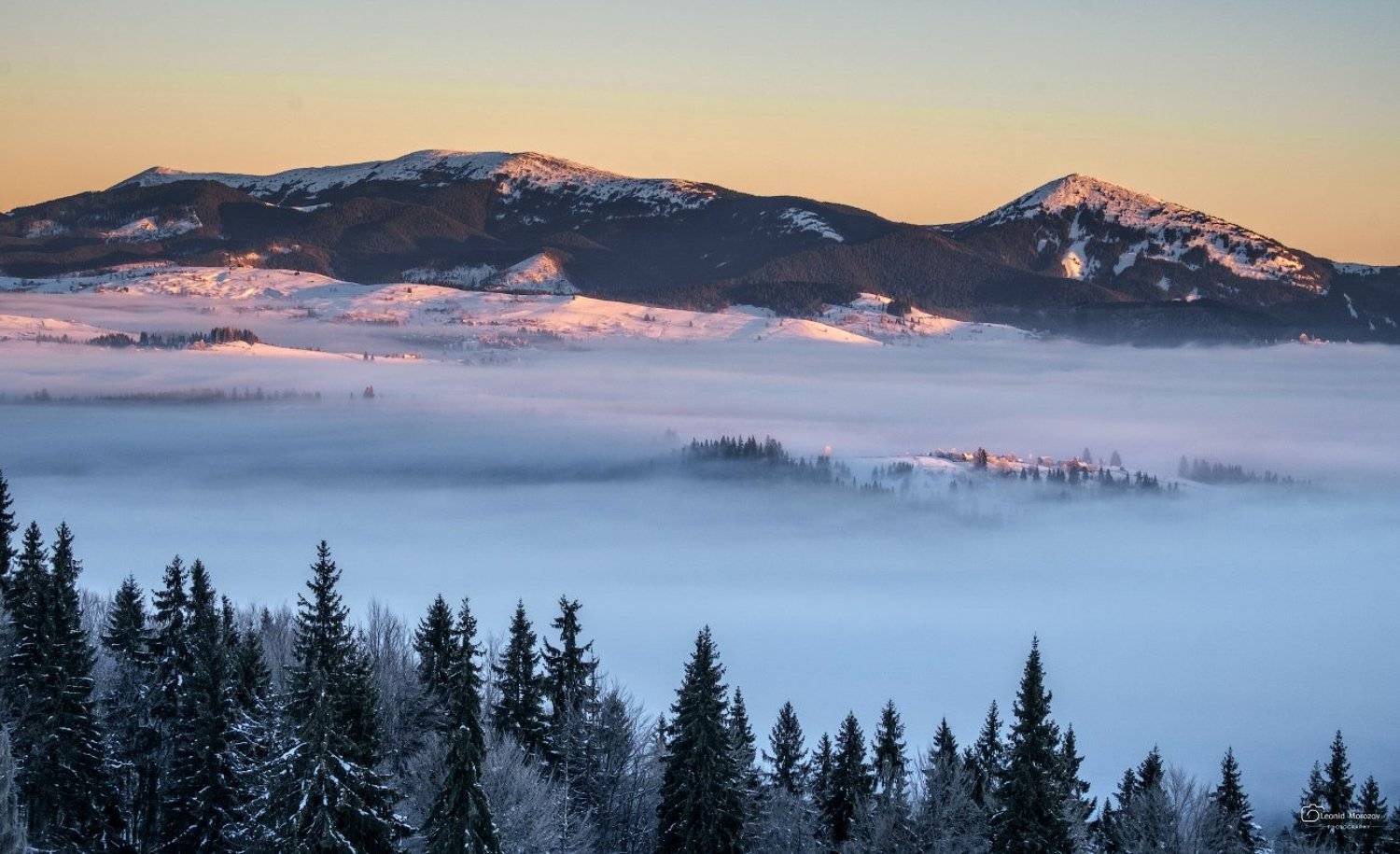 , Леонид Морозов