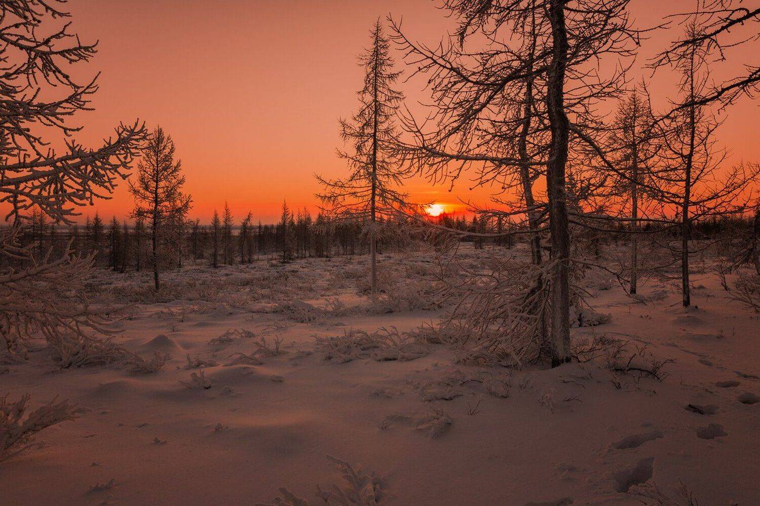 , Евгений Кужилев