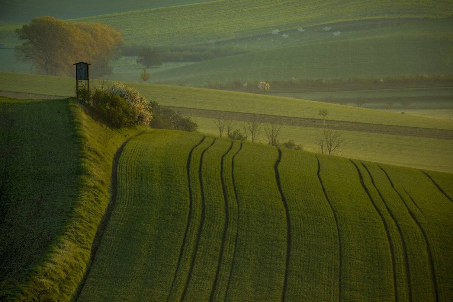 южная моравия, Ирина