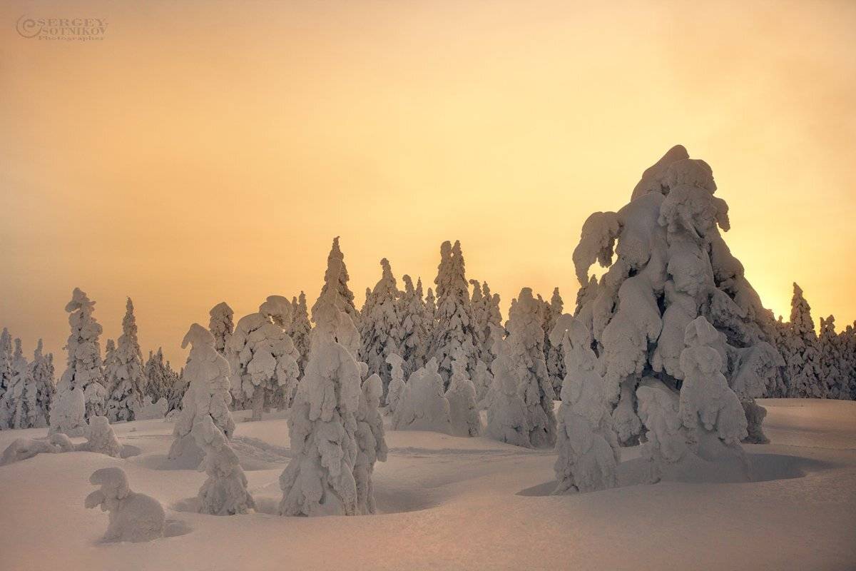 , Сергей Сотников