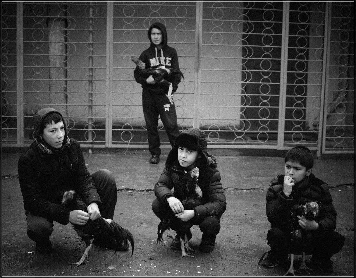 , Ильдар Садыков