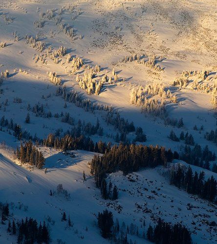 Pro мороз и солнце на склонах...