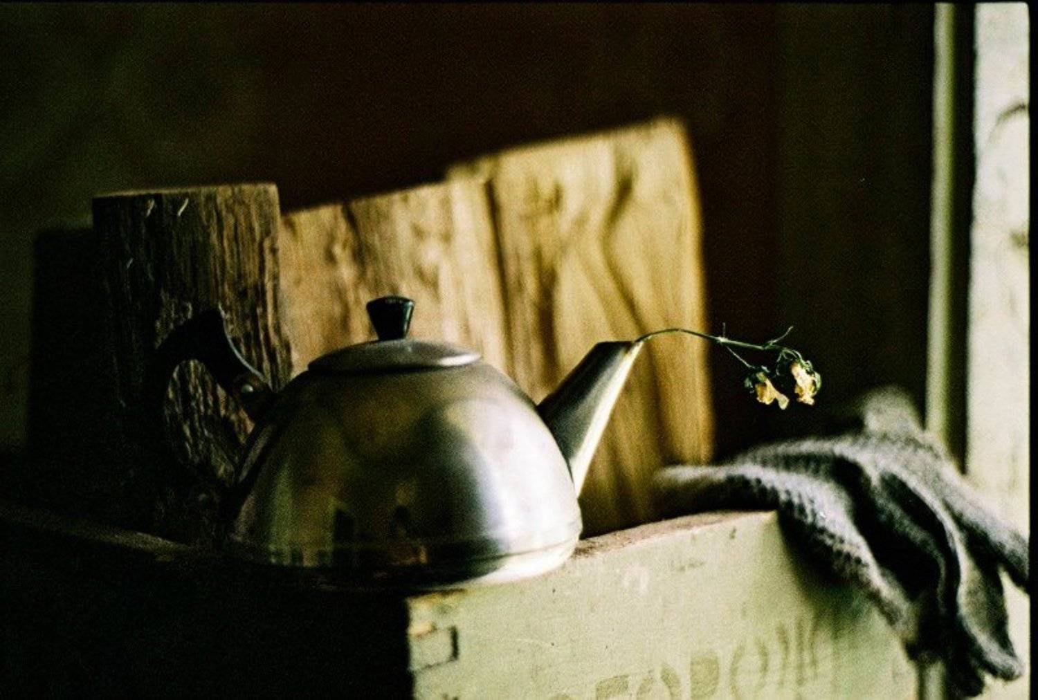 nikon, f80, film, Олег Вахник