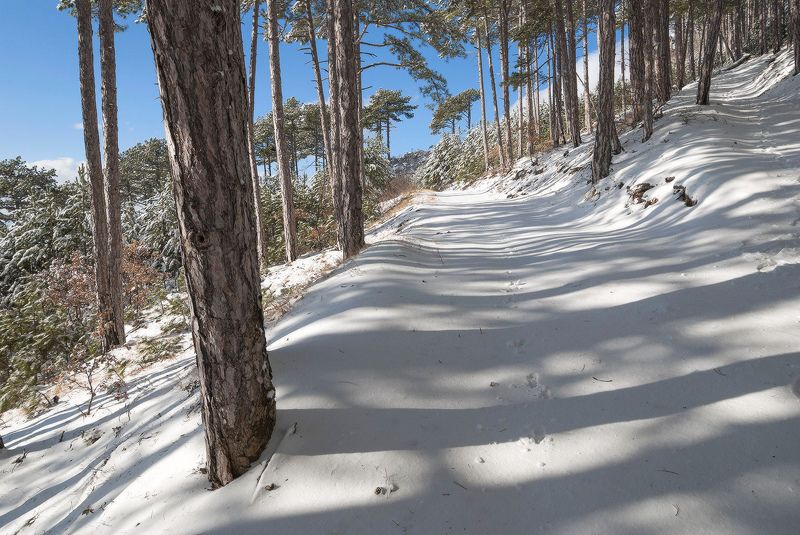 Зимние тени.... фото превью