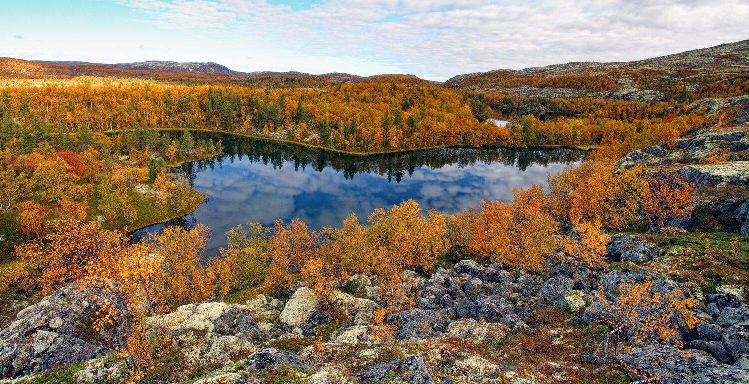 осень краски, Daemus