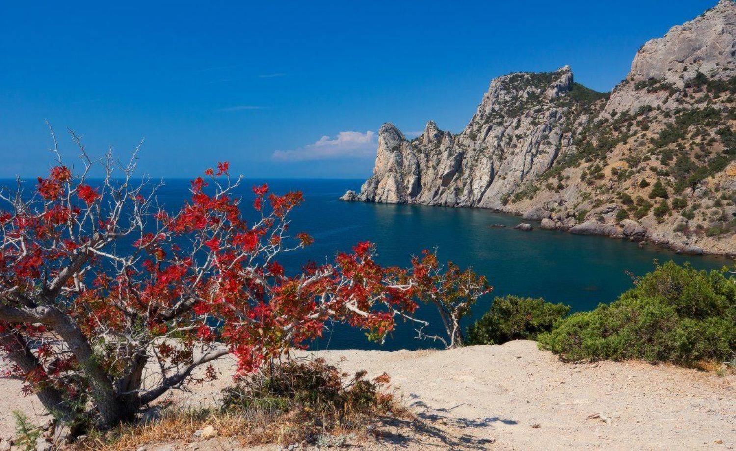 крым,новый свет, Андрей Дитковский