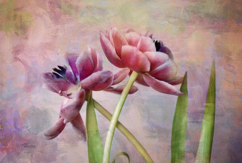 Two hearts  фото превью