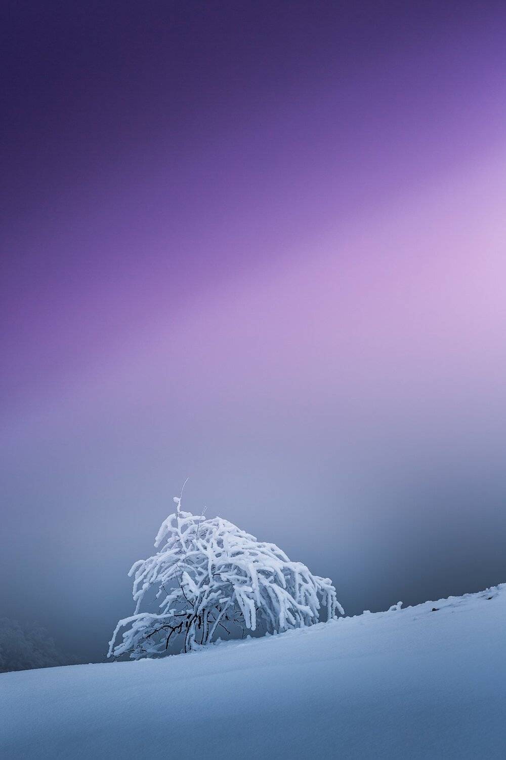 , Станислав Савицкий