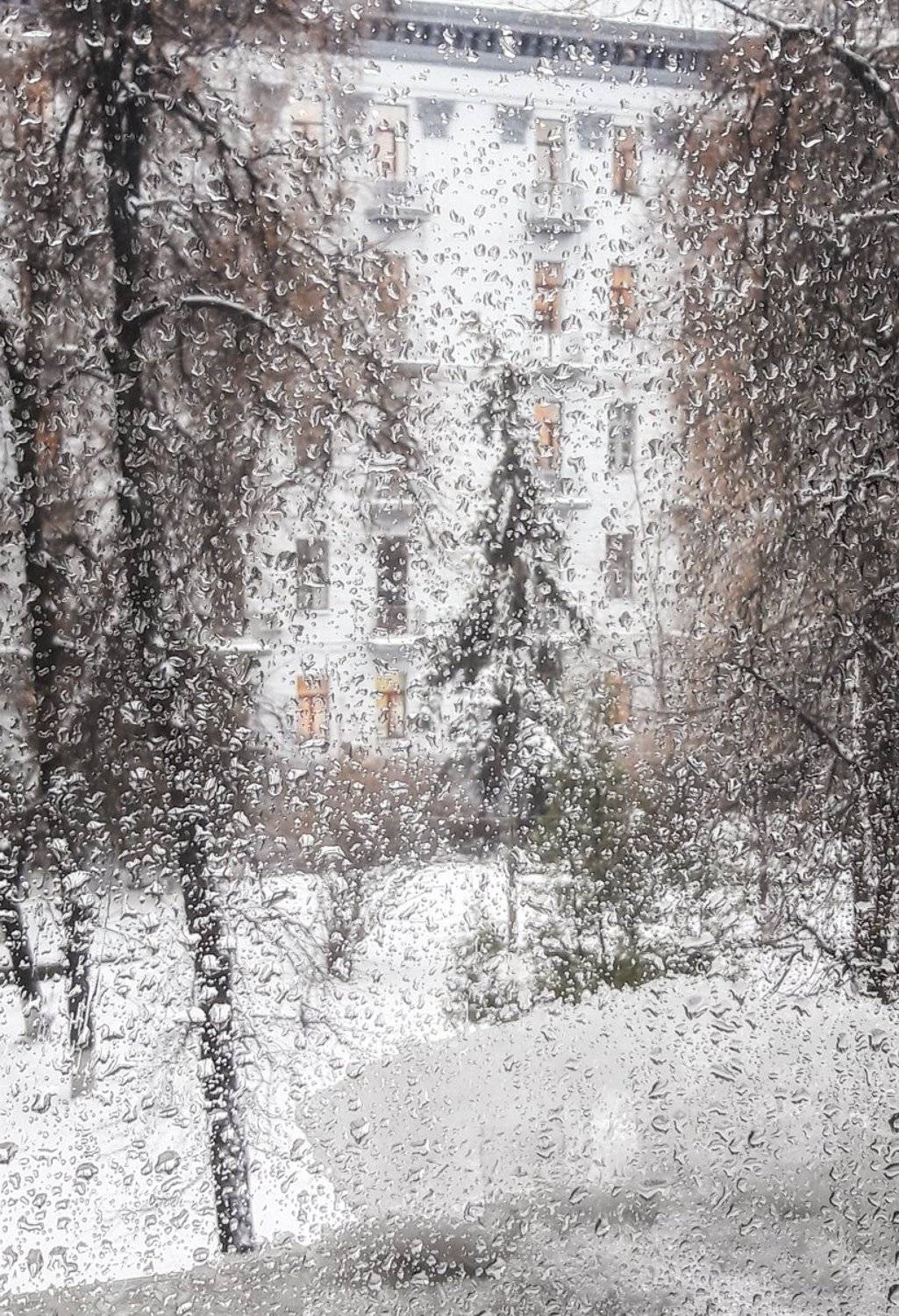 зима, непогода, Tina Grach