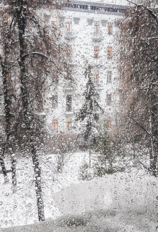 зима, непогода *** фото превью