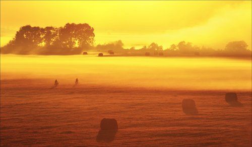 За трофеем.