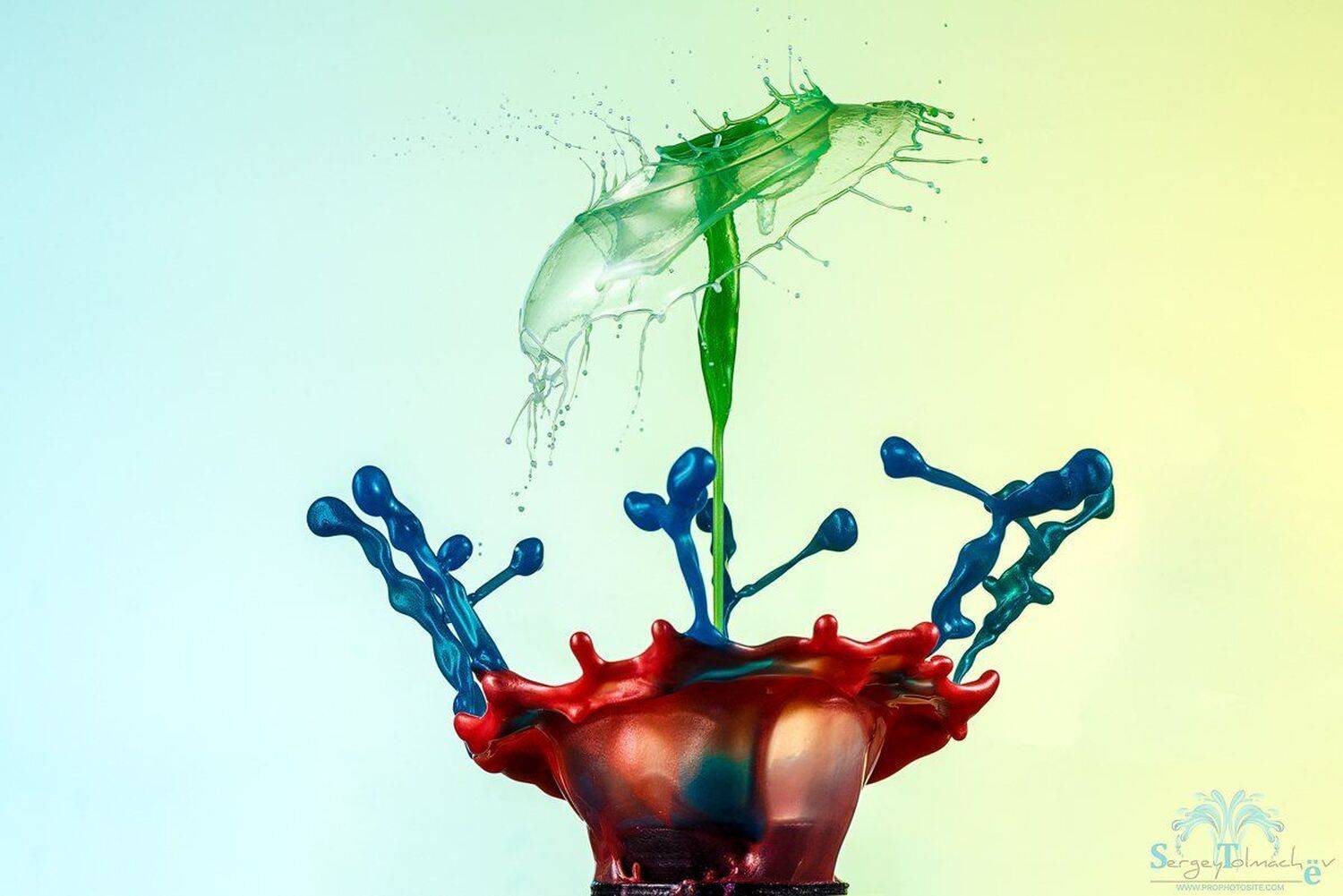 всплеск, капли, жидкость, макро, сергейтолмачев, арт, liquidart, триггер, Сергей Толмачев