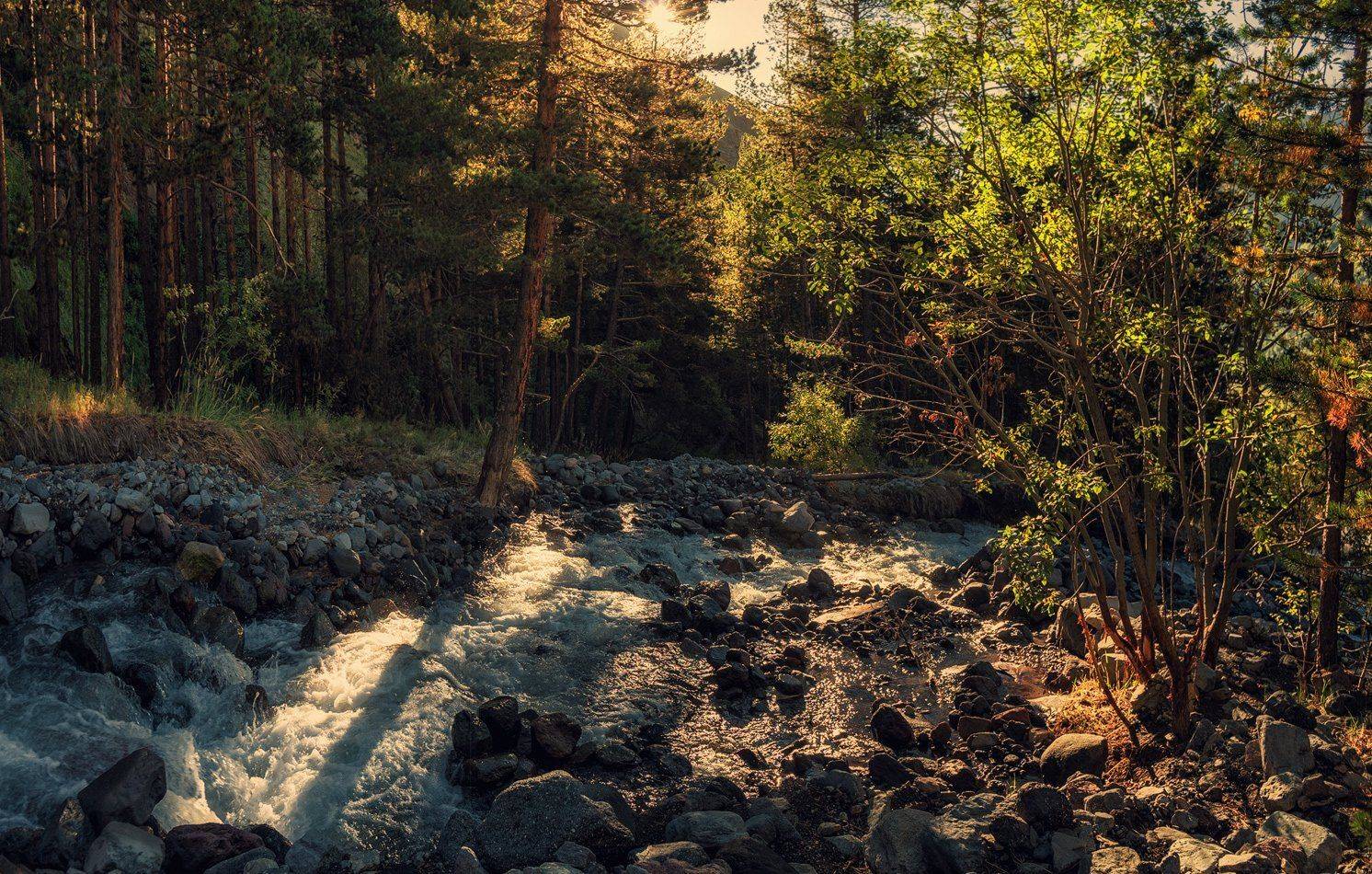 , Игорь Мелекесцев