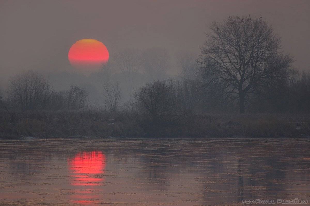 , Pawel Plucinski