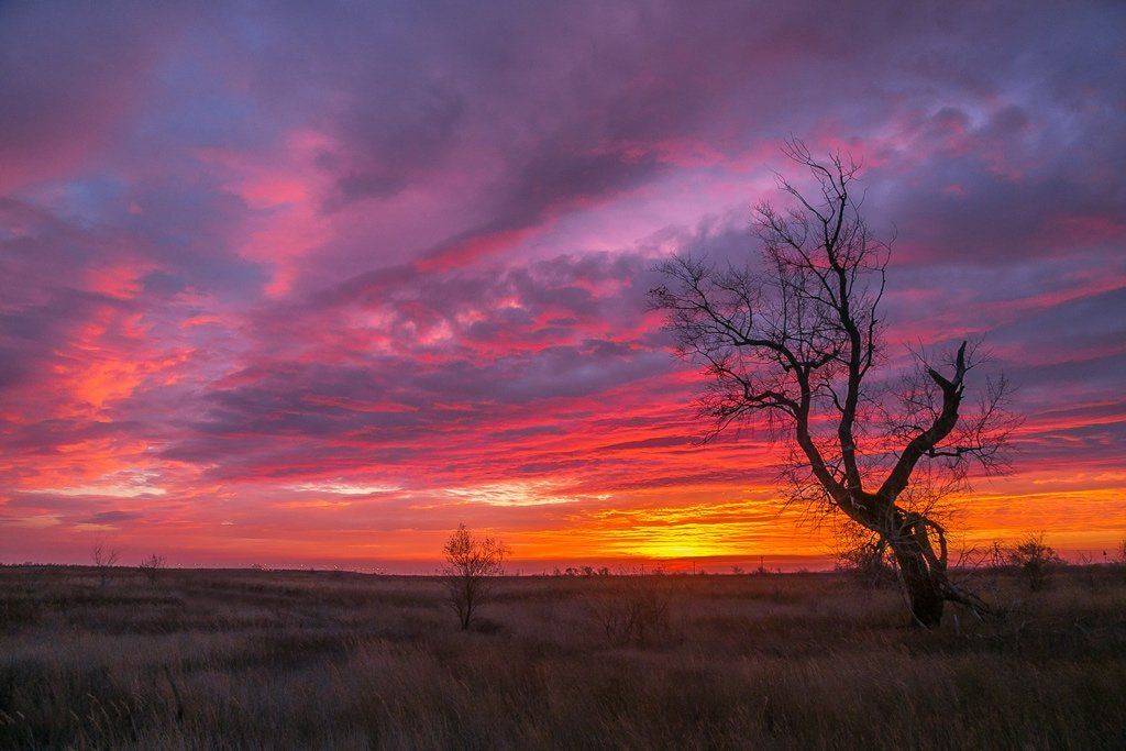 , Павел Сагайдак