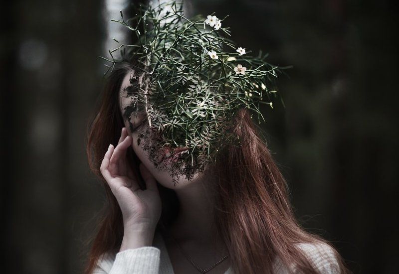 art Bloom фото превью