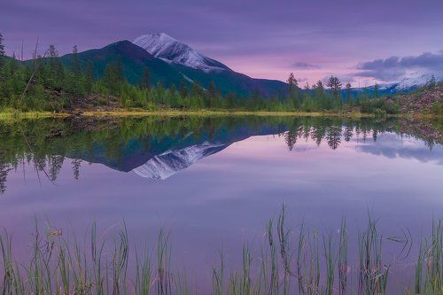 Отражая тишину