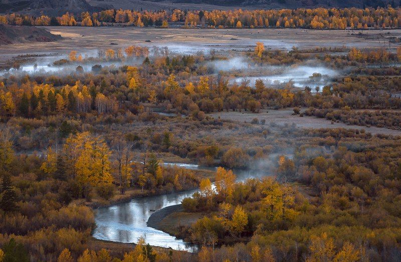 Чуйский оазис, Горный Алтай. фото превью