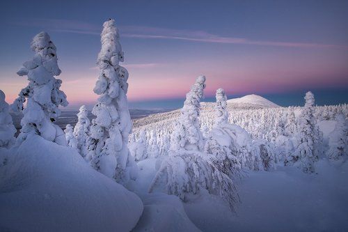 Путь в северную страну