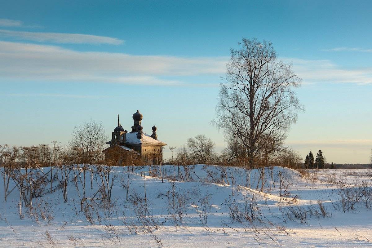 , Марина Никифорова