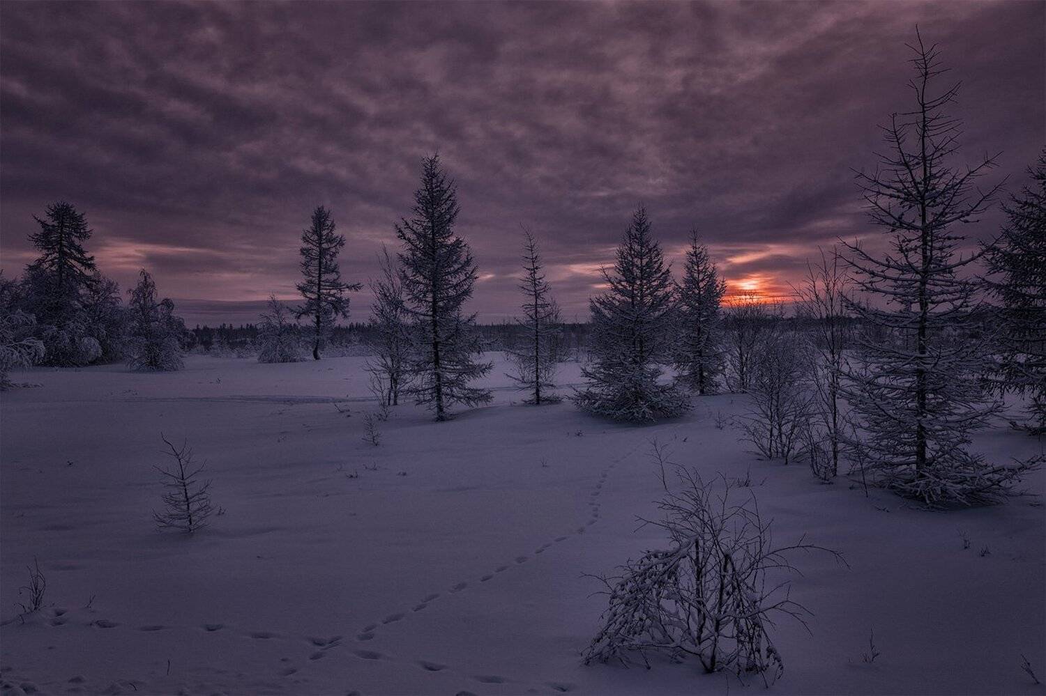 , Евгений Кужилев