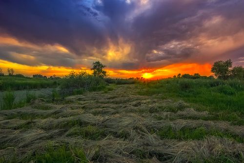 Тёплый летний вечер 