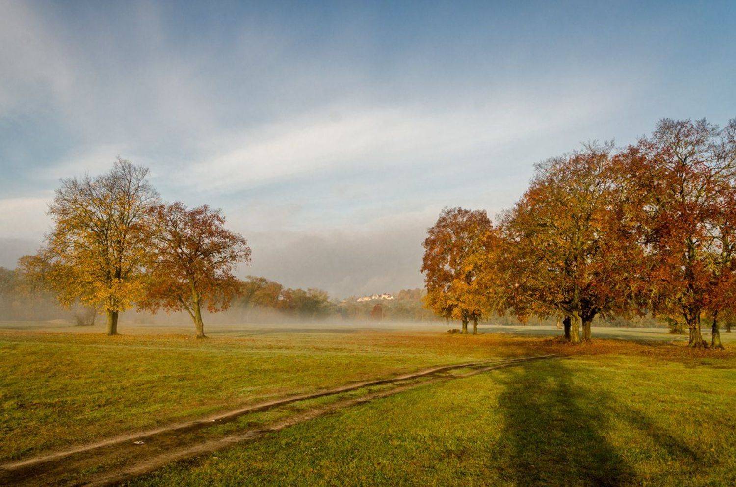 , Александр Березуцкий