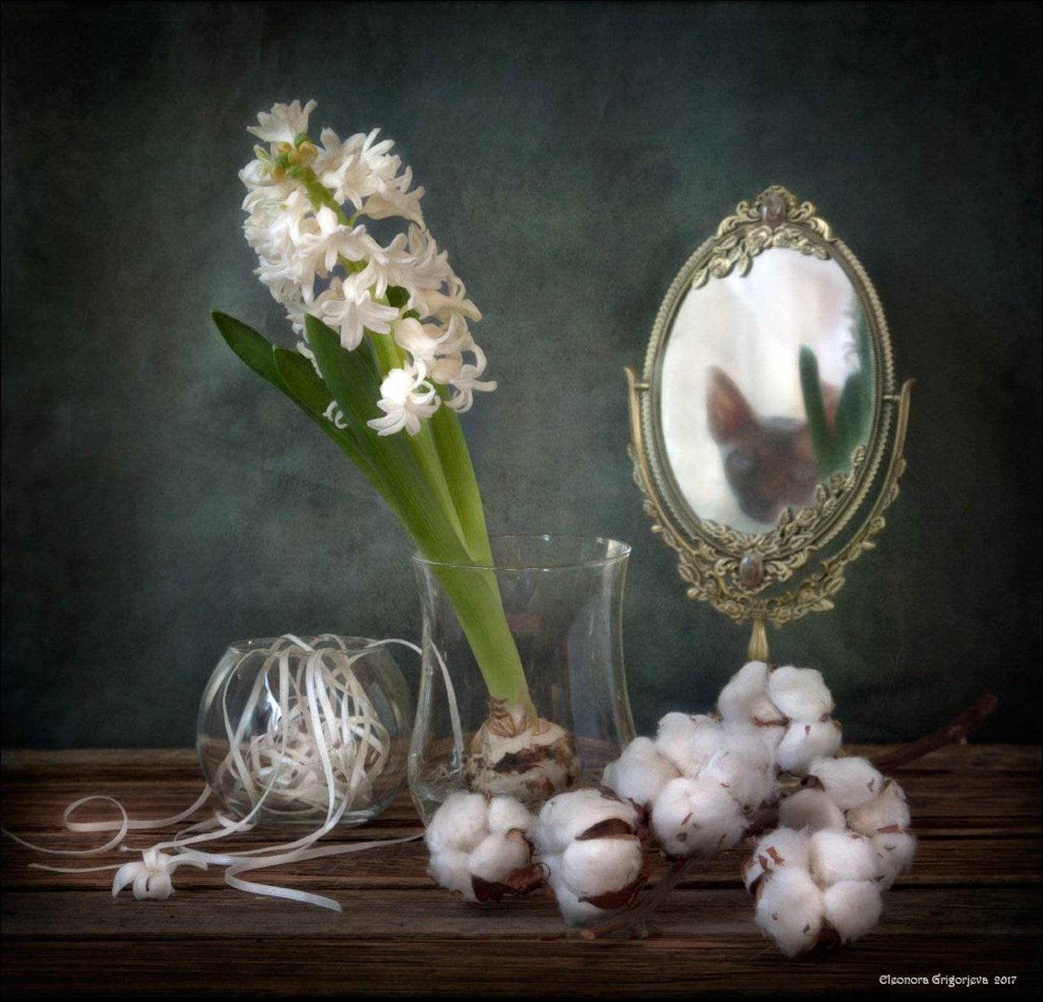 гиацинт, хлопок, зеркало, отражение кошки, стекло, отражение, белый, натюрморт, Eleonora Grigorjeva