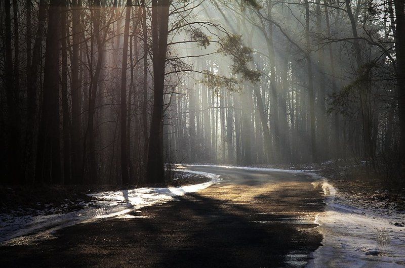 ... фото превью