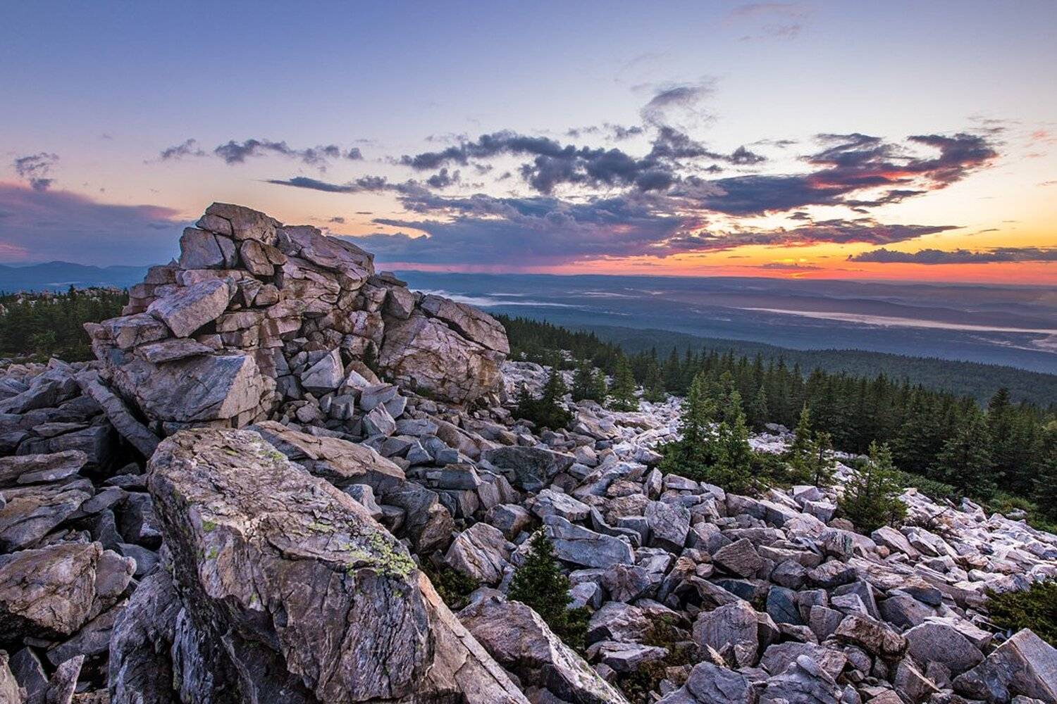 , Станислав Аристов