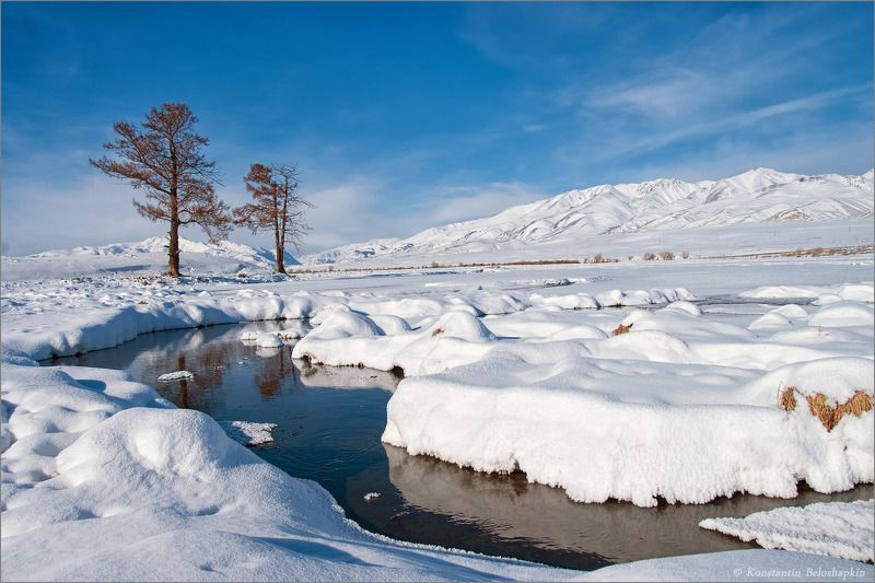 алтай, горы, курайский хребет, снег, чуйская степь, январь, ёкитыт Зимний Алтай фото превью