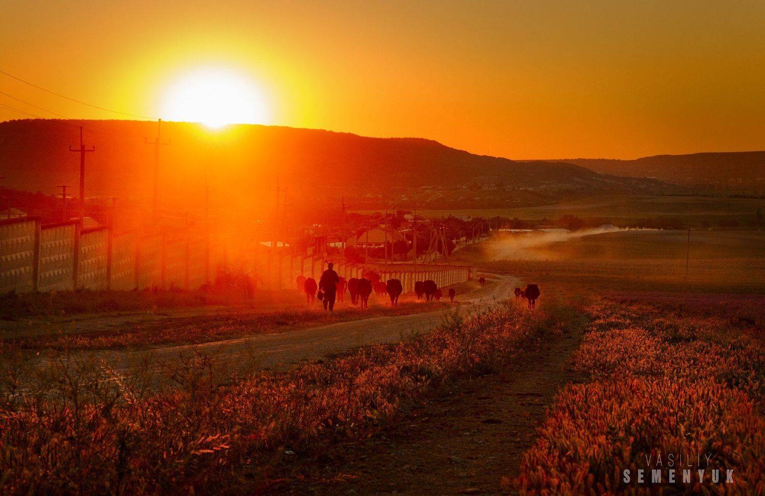 Крым, закат, пастух, настроение, поля, пейзаж, Семенюк Василий