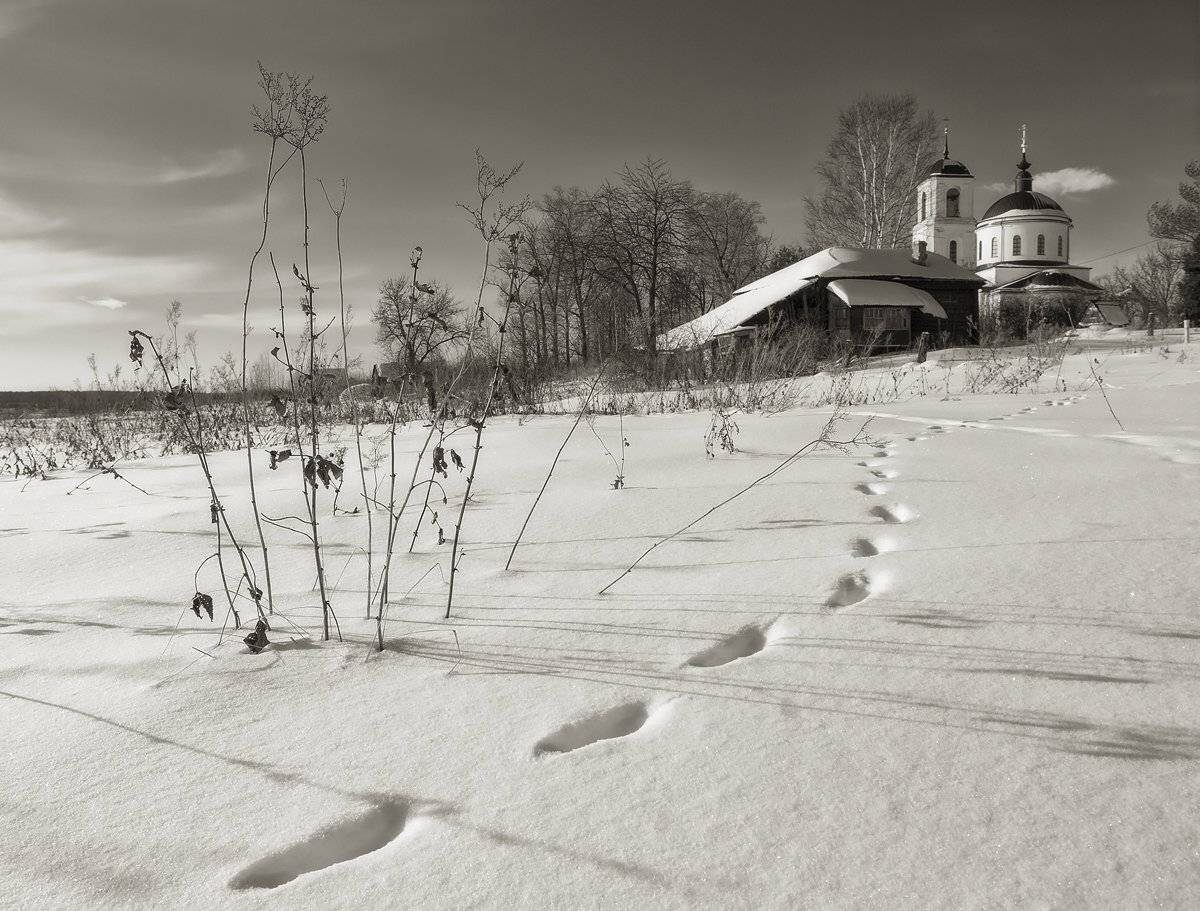 , Владимир Перепечаев