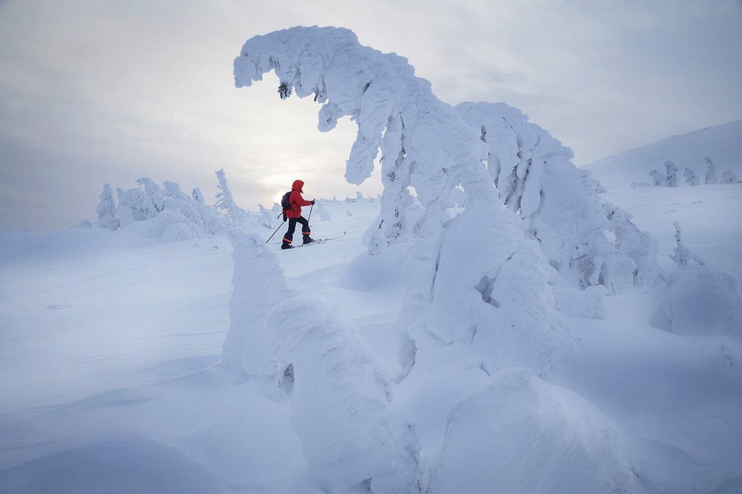 ГУХ, Главный Уральский Хребет, Северный Урал, Урал, Россия, Уральские горы, лыжник, поход, зимний поход, Сергей Гарифуллин