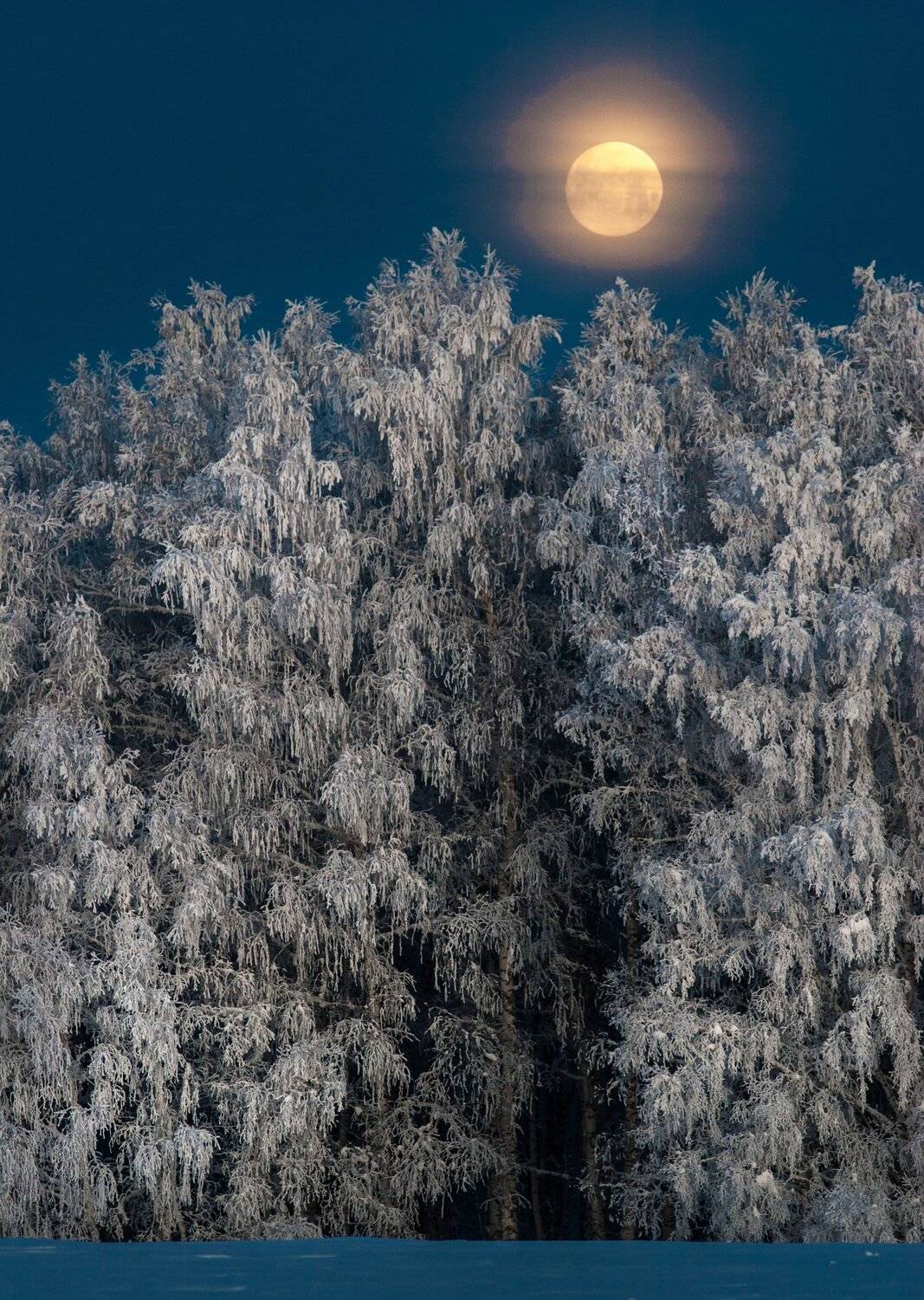 , Владимир Сковородников