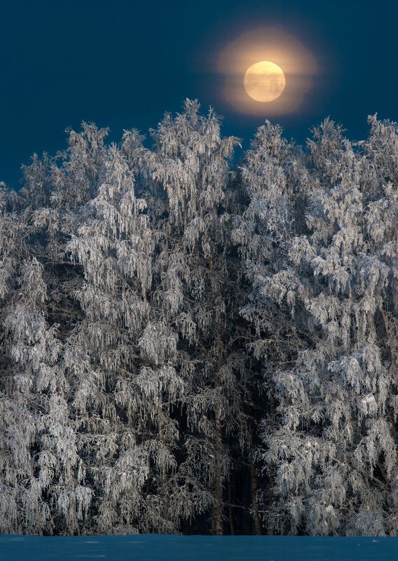 Лунное утро фото превью