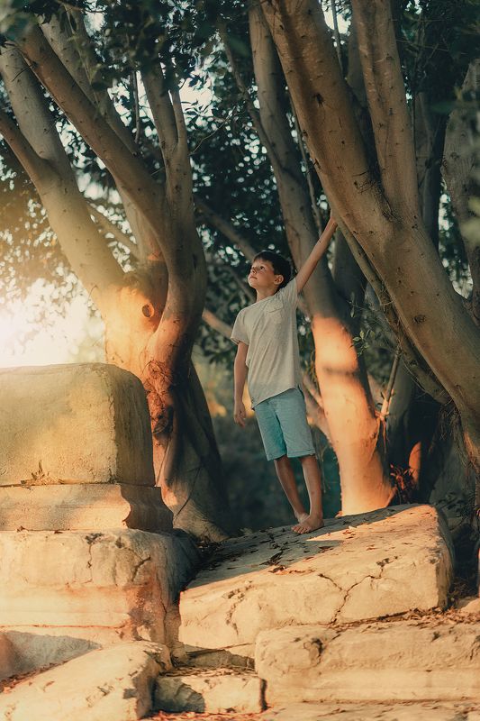 ребенок, мальчик, свет, закат, улица, дерево, корни, мечты, лето, отпуск *** фото превью