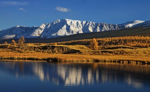 Белые снега Куркурека