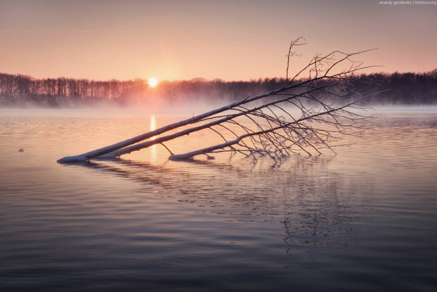 шатура, Анатолий Гордиенко