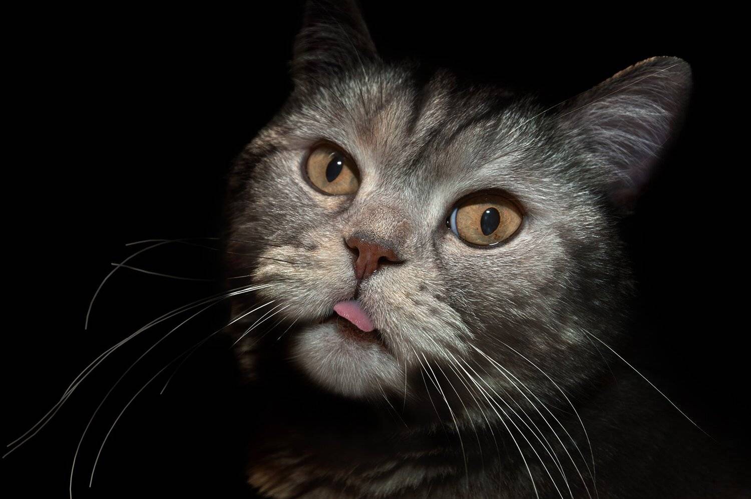 , Олег Богданов