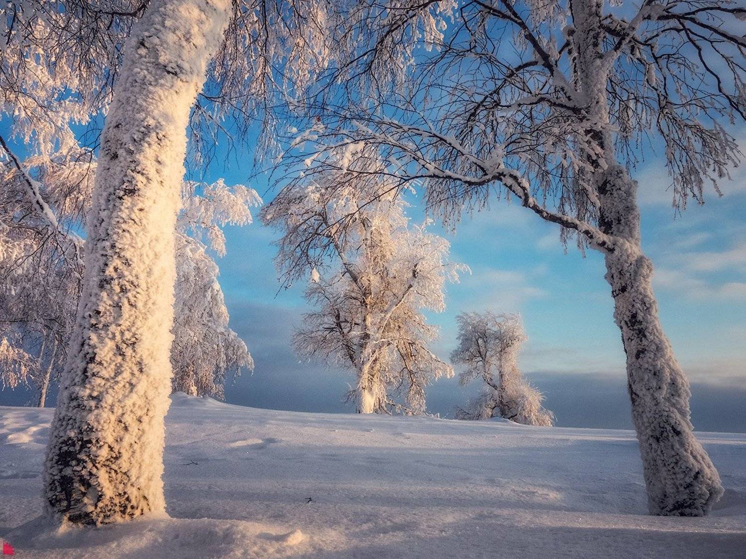 , Осипов Ёжъ Александр