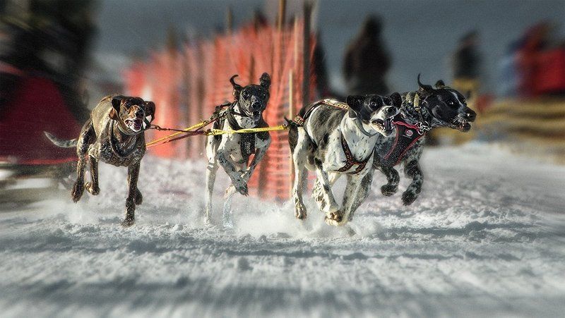 Быстрее ветра фото превью