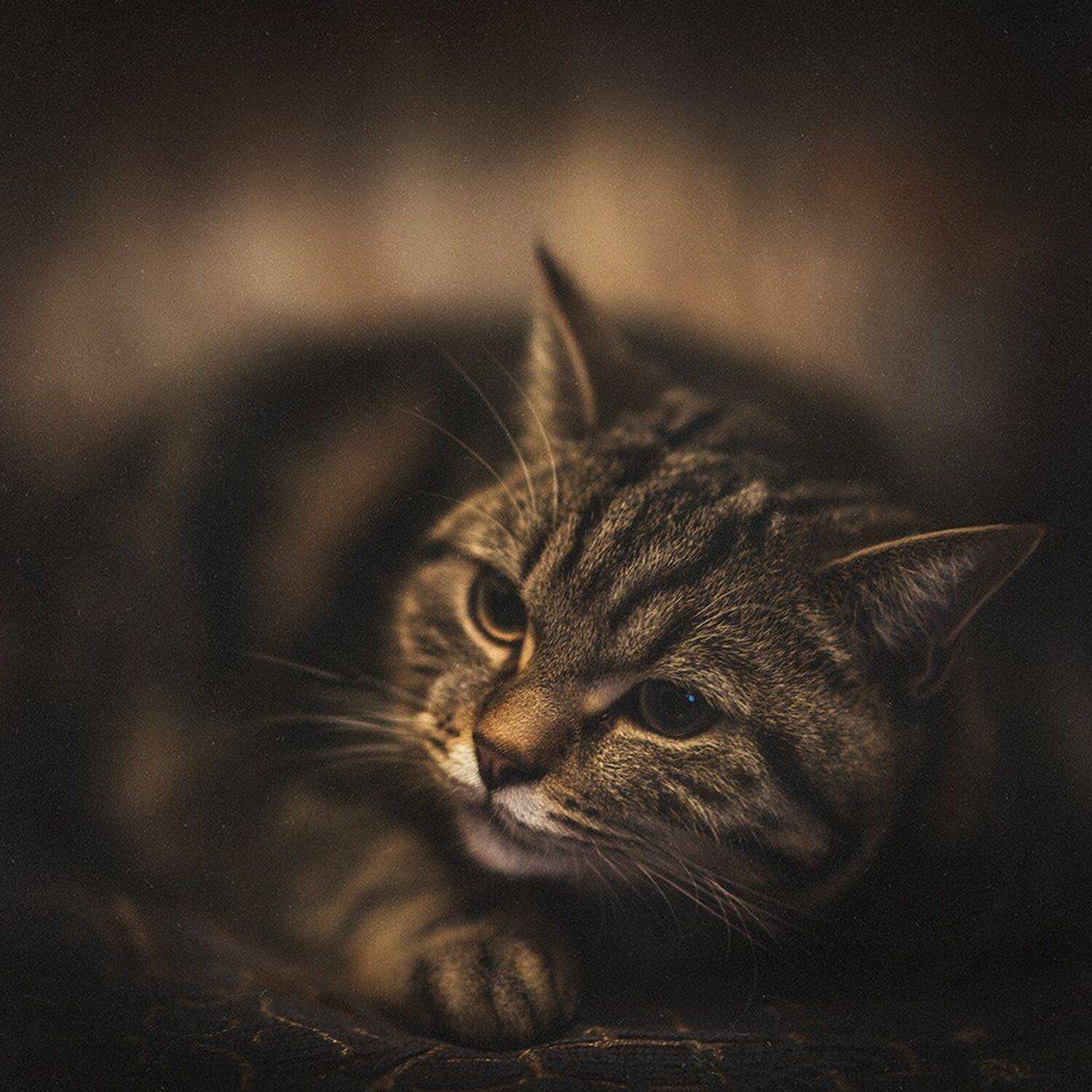 , Рублёв Дмитрий