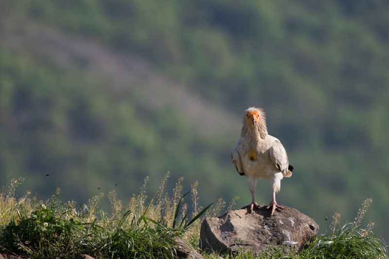 Я вижу тебя фото превью
