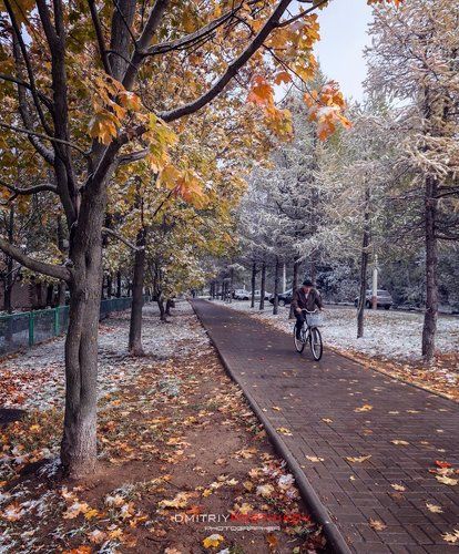 Когда выпал первый снег.