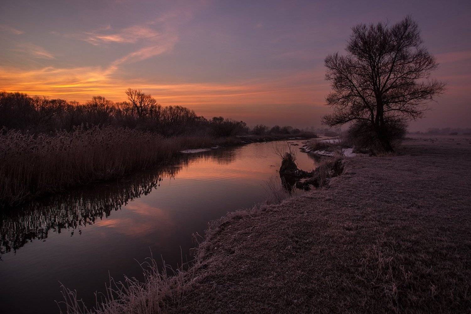 , Pawel Plucinski