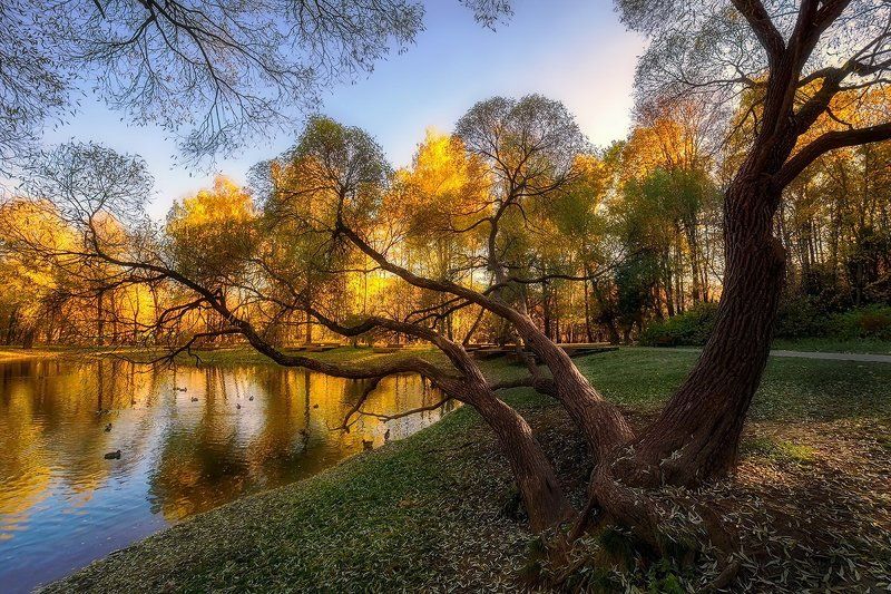 В золоте осени... фото превью